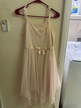 Zhenzi Soft Ivory Floral Applique Dress